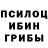 Псилоцибиновые грибы Cubensis Eqil 012996